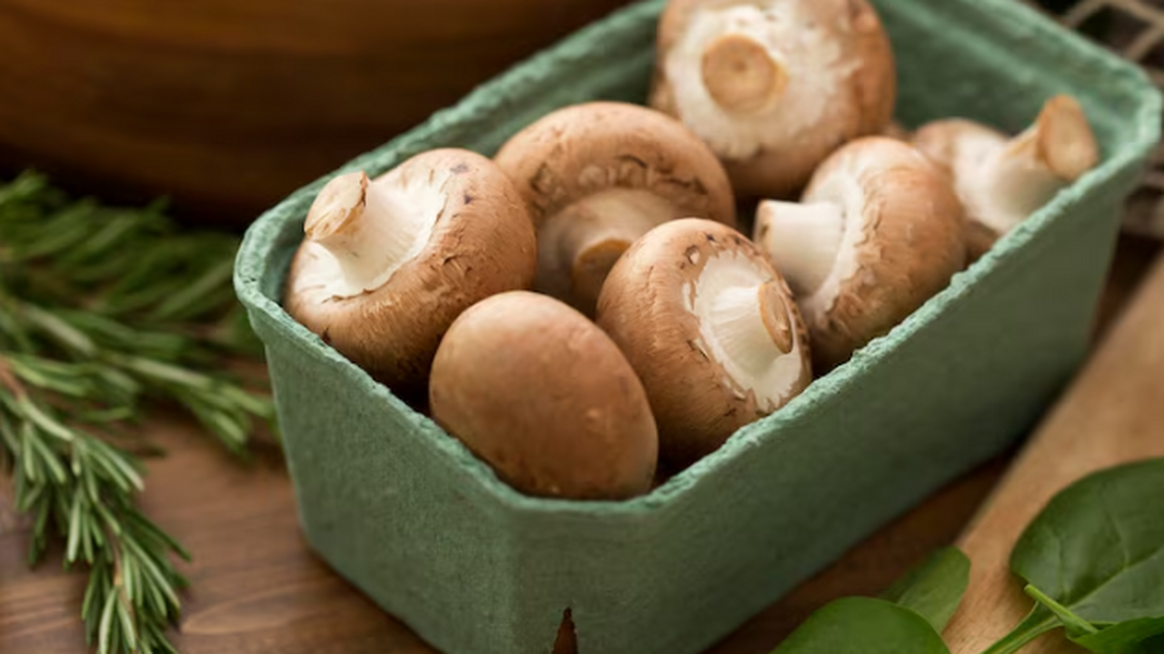 Hydnum repandum, он же «pied de mouton»: почему...