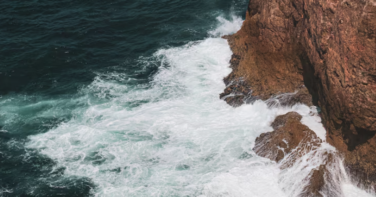 Ученые выяснили, что морская тепловая волна 200...