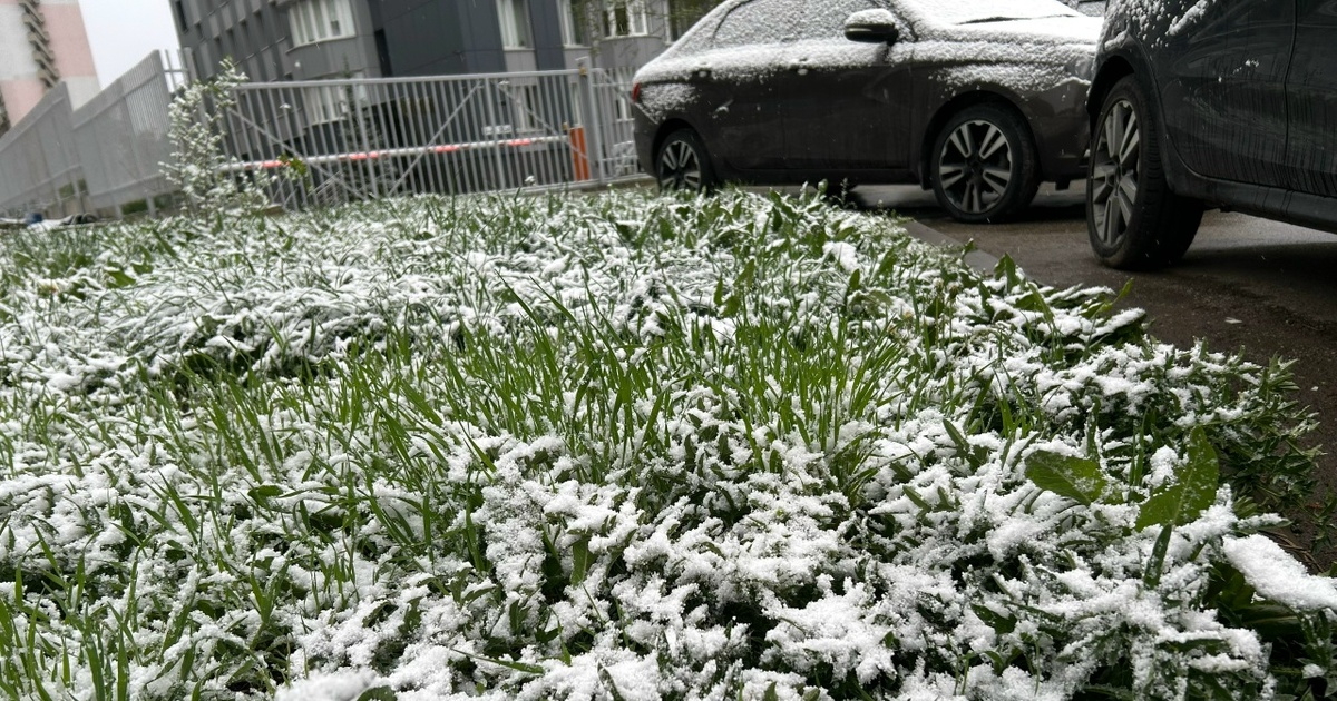 Самарцев предупредили о гололеде и ветре до 20 м/с в выходные Прогноз на ближайшие дни опубликовало Приволжск...