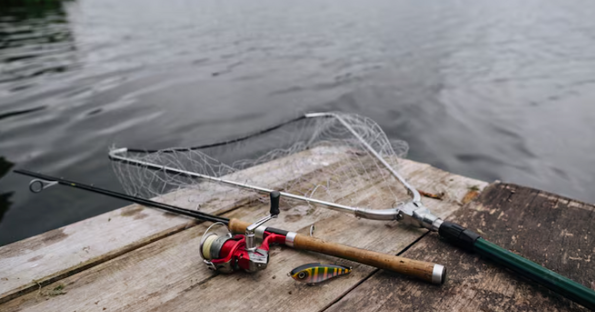 В Миссури гигантский голубой сом не поместился на весы и лишил рыбака рекорда Рыбак Джесси Лэнс выловил 25 октября в реке Мис...