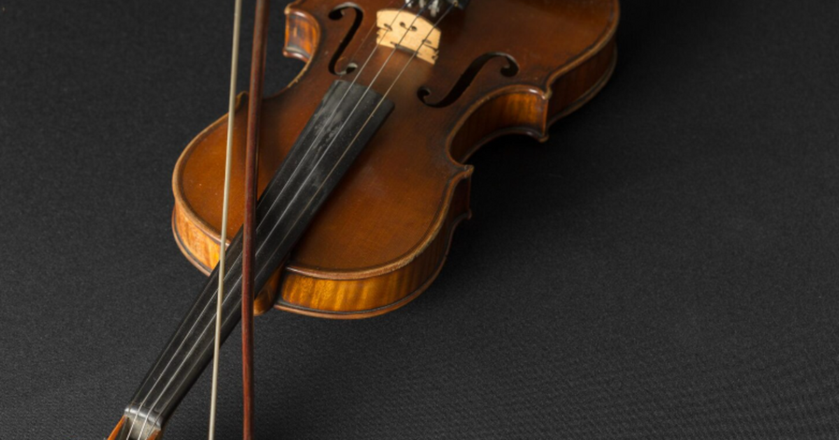 Анализ годичных колец показал, что Страдивари в...