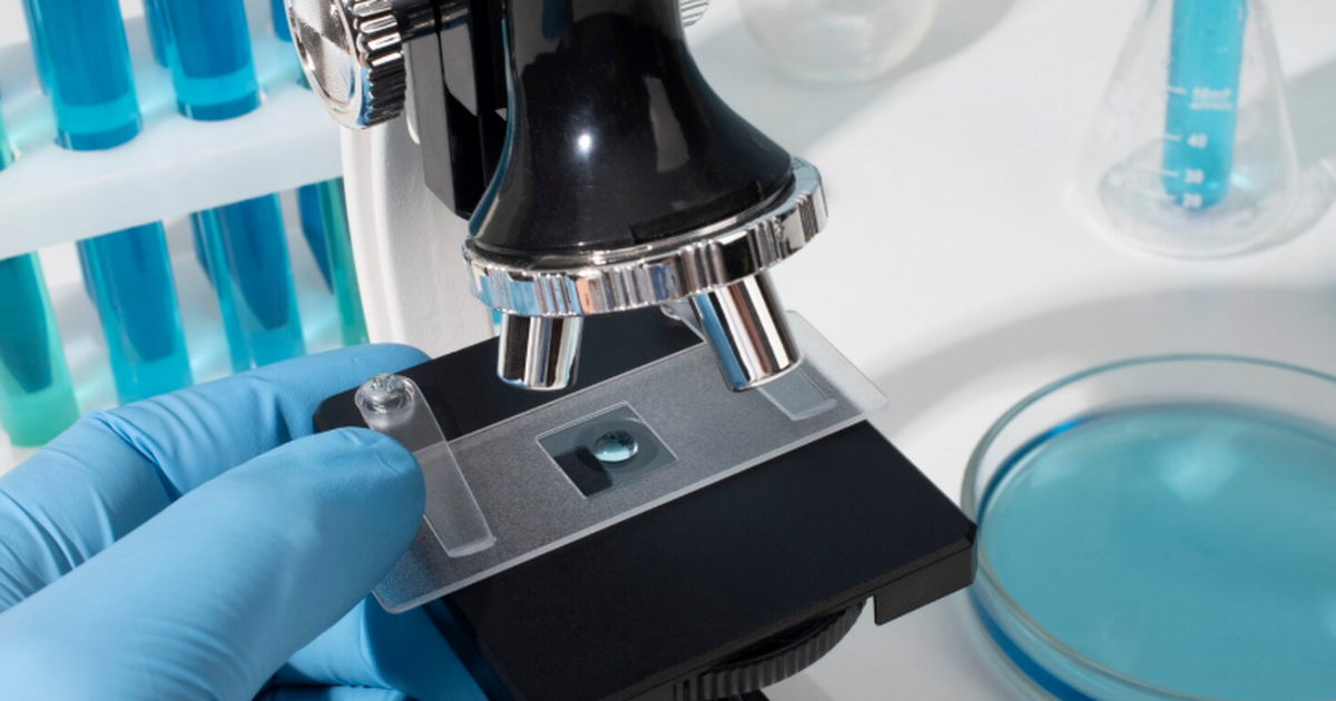 Окаменелости прототакситов, найденные в Шотланд...