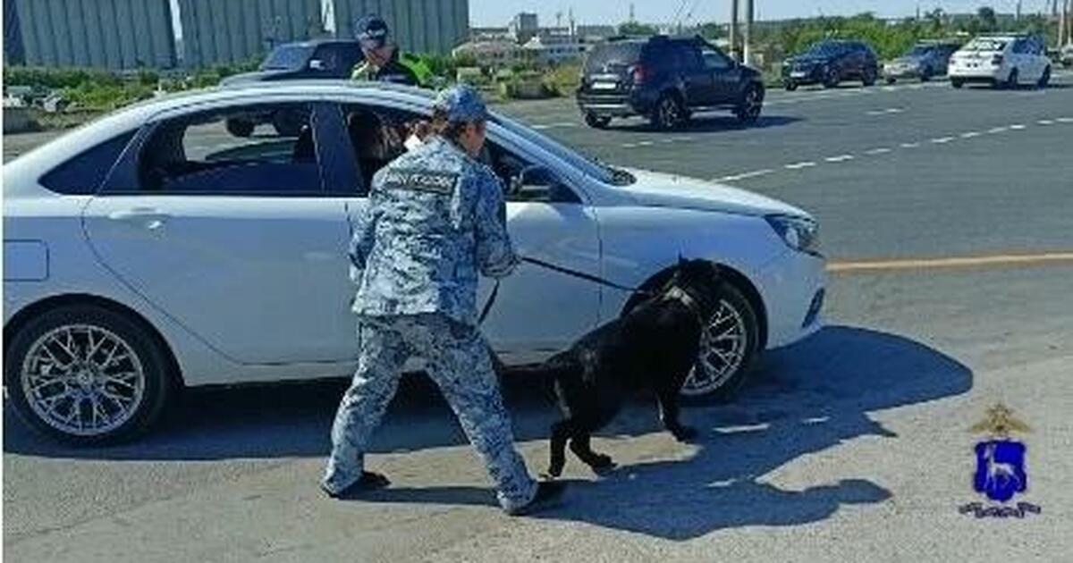 В Тольятти завершили расследование дела в отнош...