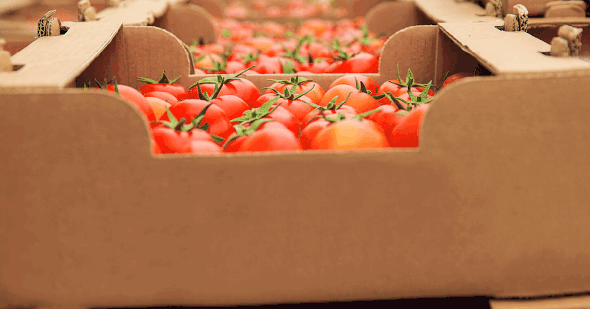 В аэропорту Самары задержали 31 партию продукто...