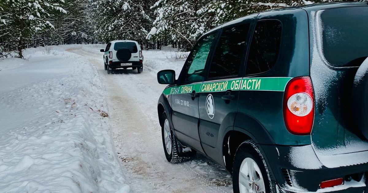 С начала декабря усилен контроль за сохранность...