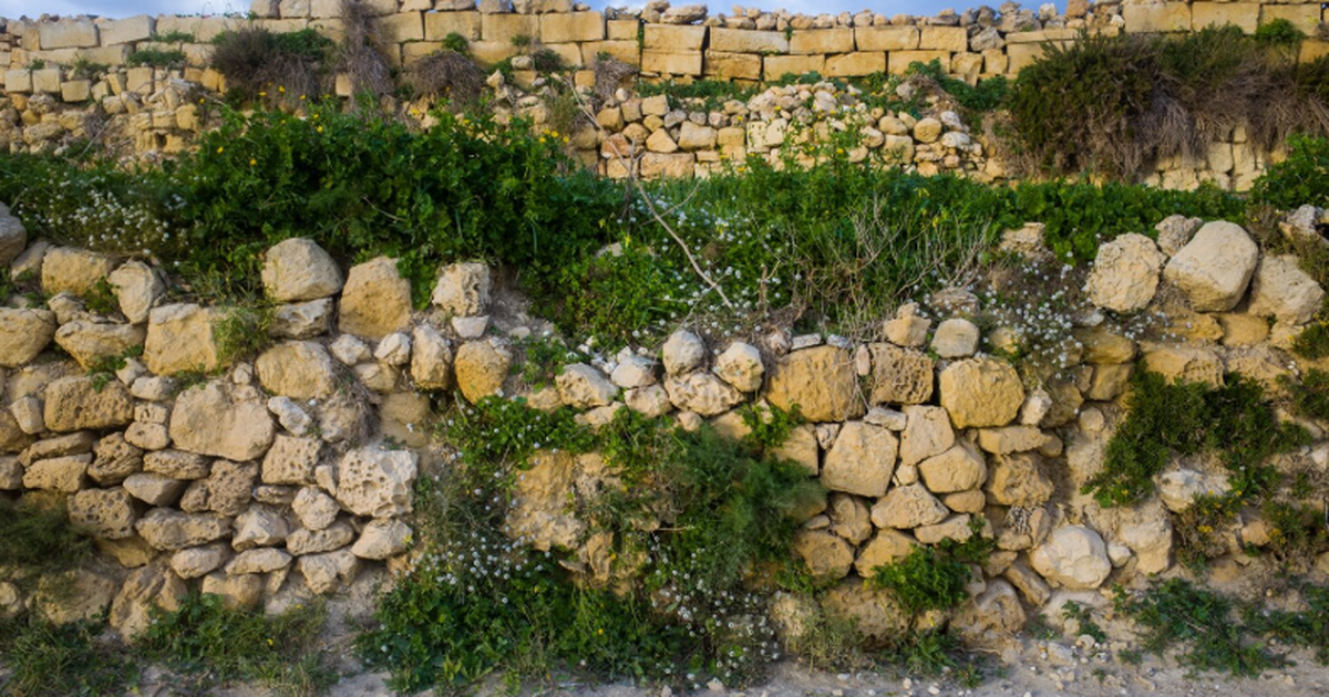 Исследователи обнаружили в Тебризе остатки мону...