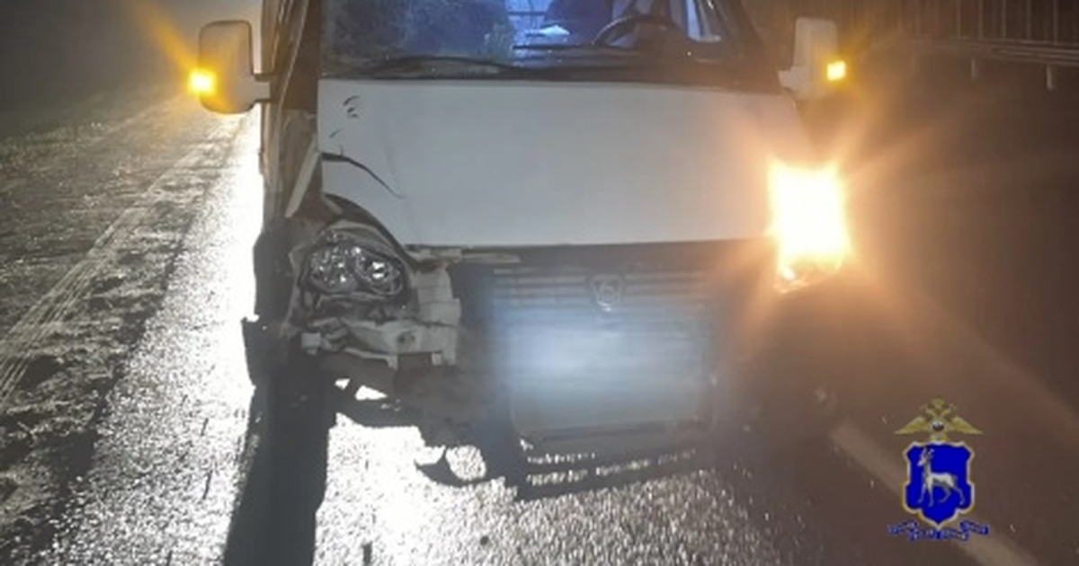 Автомобиль «Газель» совершил наезд на пешехода,...