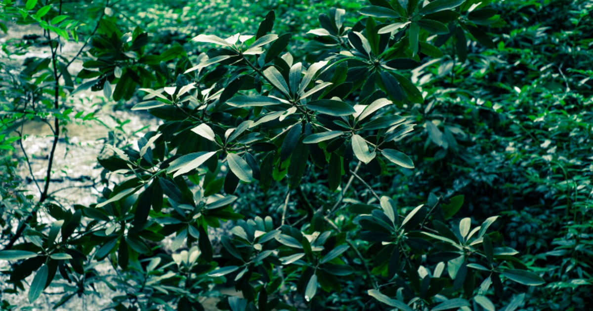 Прошло исследование: пестициды угрожают естественной защите растений в почве Учёные выяснили, что пестициды в европейских по...