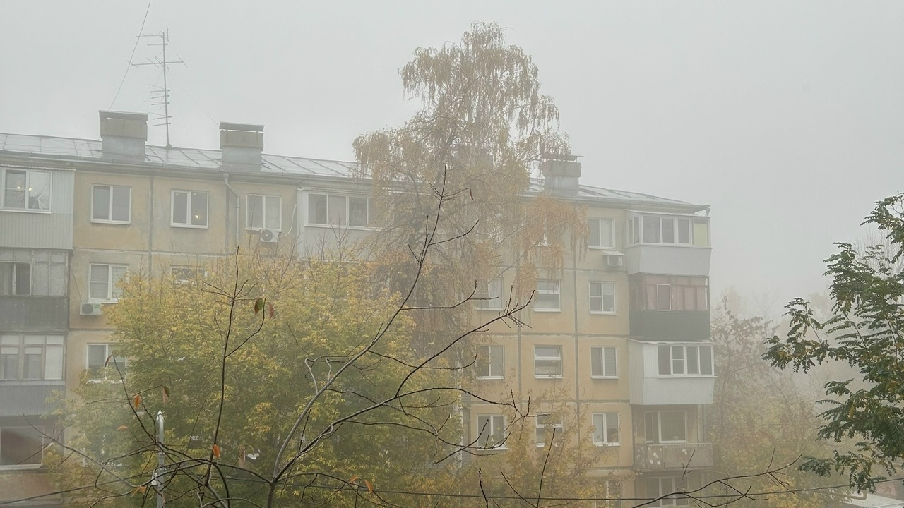 Сотрудники ГАИ призвали к соблюдению максимальн...