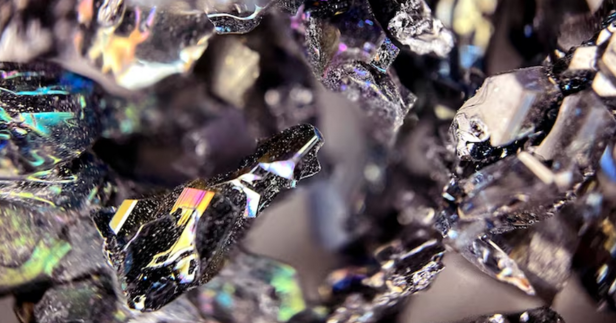 Примерно 2,4 млн лет назад крупный вымерший сло...