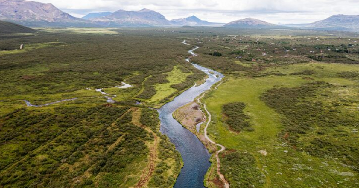 Исследование показало, что 13 из 40 густонаселе...
