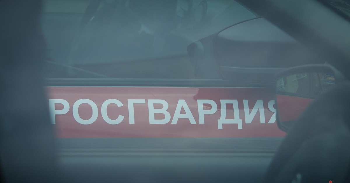 В Тольятти росгвардейцы задержали женщину за кражу белья из магазина После просмотра записей с камер видеонаблюдения...