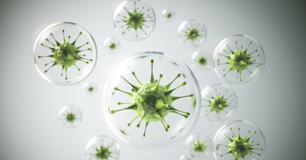  Учёные UTS и Института столетия доказали, что ...