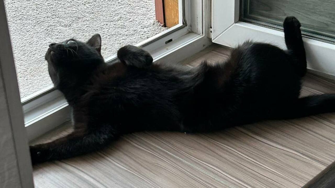 Изучив многолетний опыт народов, живущих в жарк...
