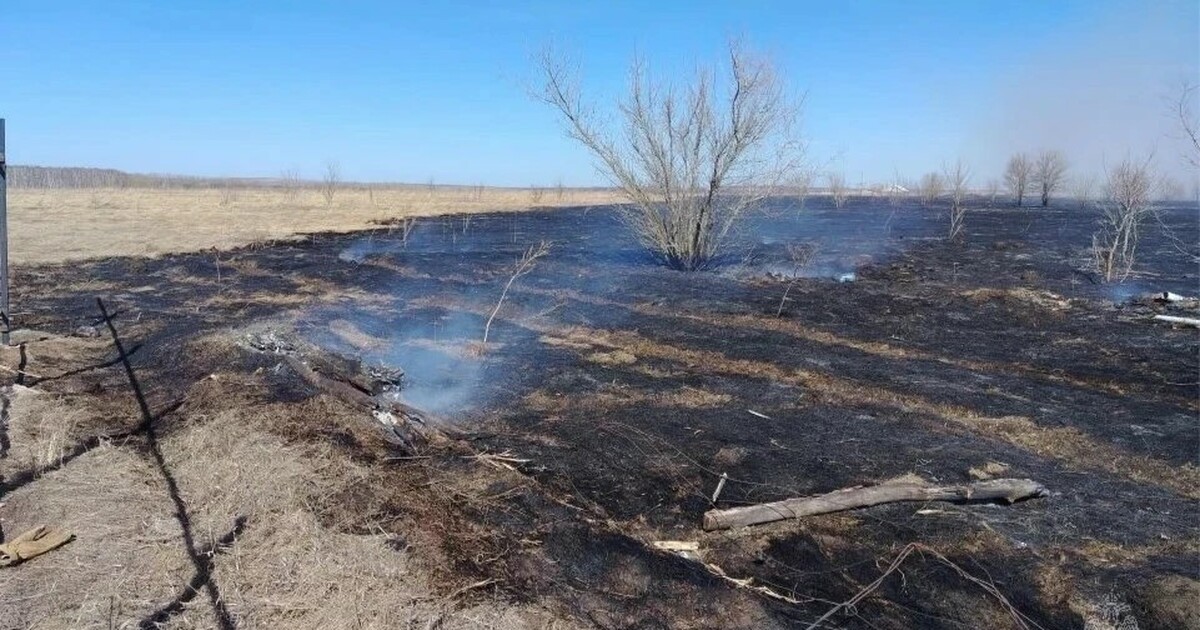 В качестве примера в МЧС привели случай, произо...