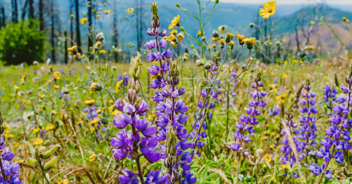 Генетическая адаптация, наблюдаемая во всём ген...