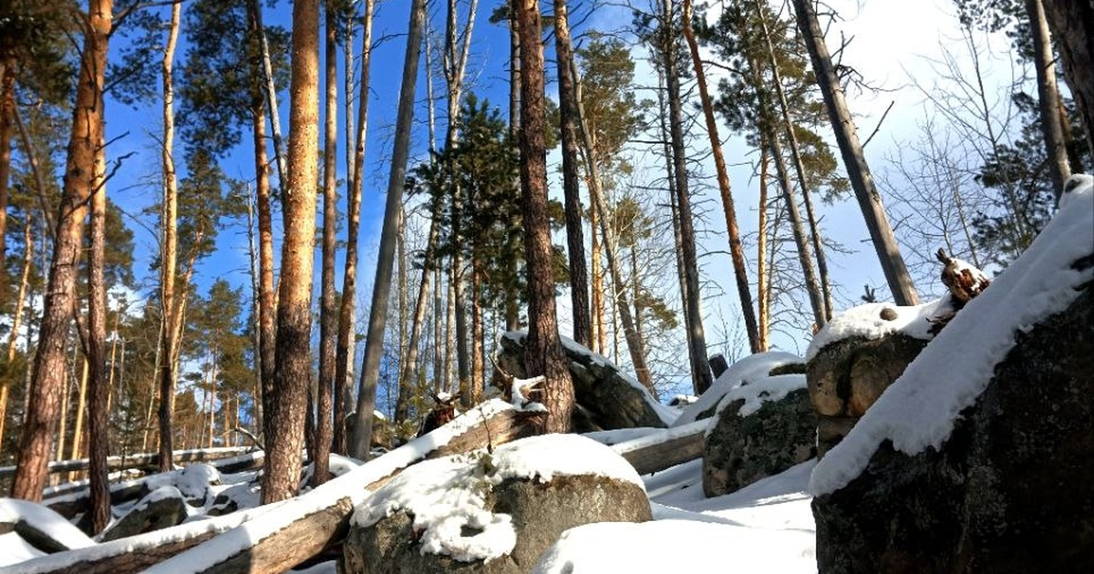 Цифровая экосистема МТС вывела в эфир еще неско...