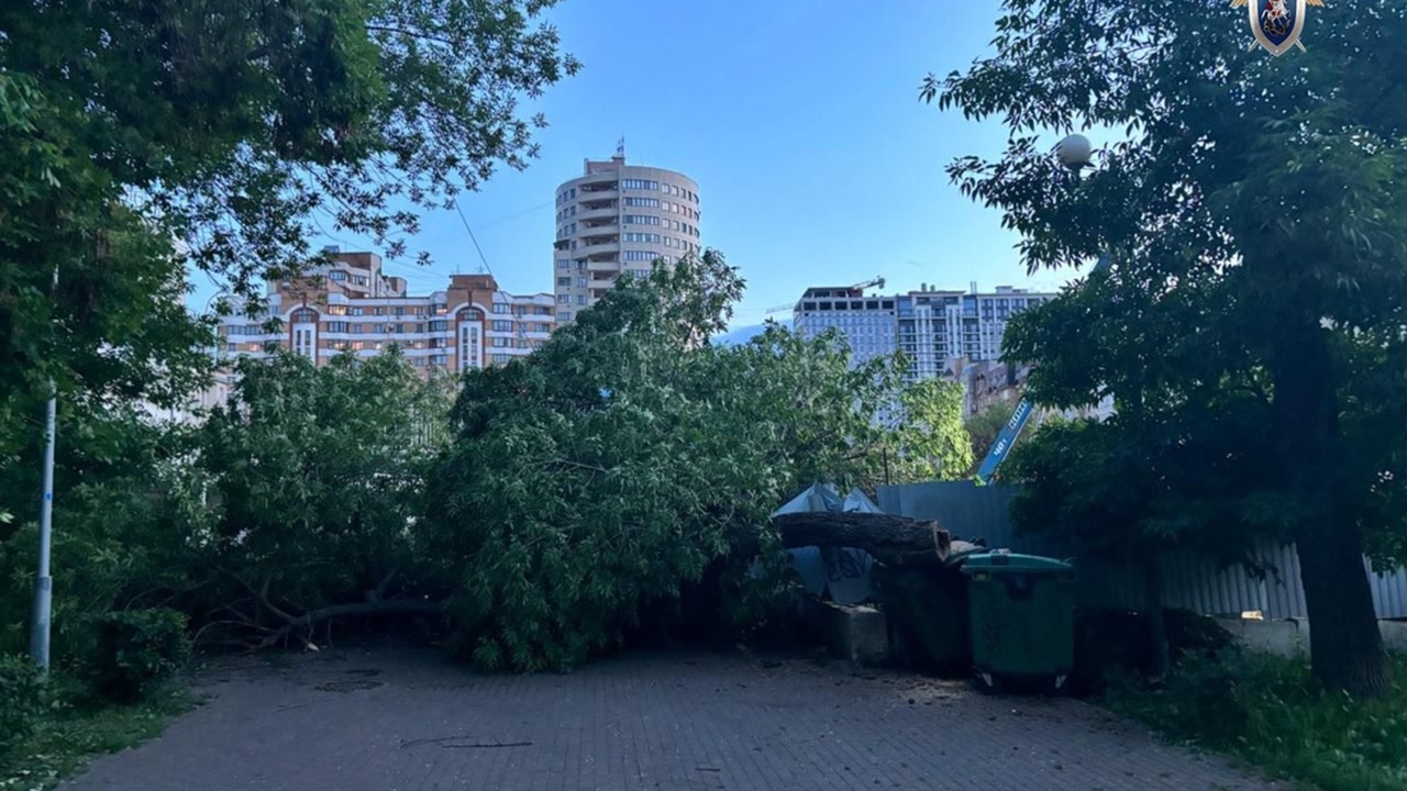 5 июня в Самаре дерево упало на коляску с ребенком, возбуждено уголовное дело Ребенок был госпитализирован, идет следствие
