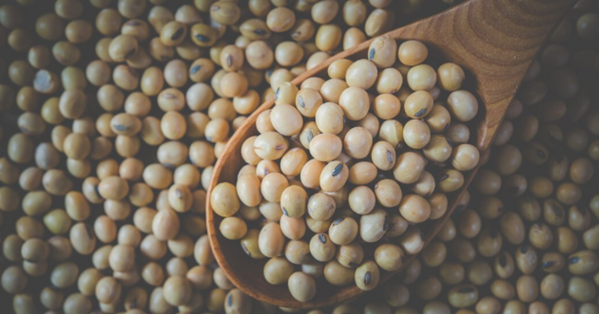 Японцы не зря доживают до 100 лет: они обожают тот продукт, который в России просто ненавидят «Пахнет аммиаком, тянется нитями» — и всё равно...
