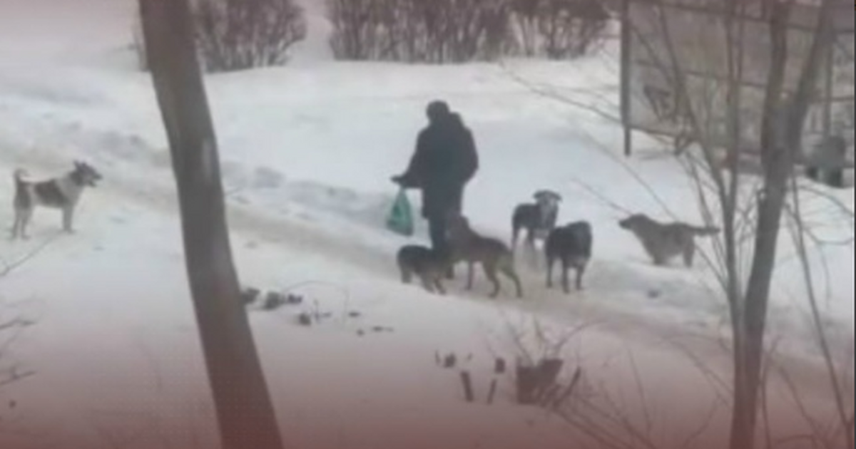 Возбуждено уголовное дело по ст. 293 УК РФ