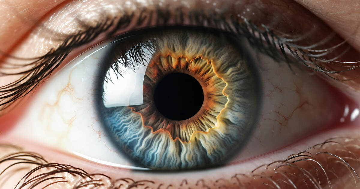 В МГУ создали нейросетевой метод распознавания по радужке сквозь ресницы Ученые разработали метод идентификации личности...