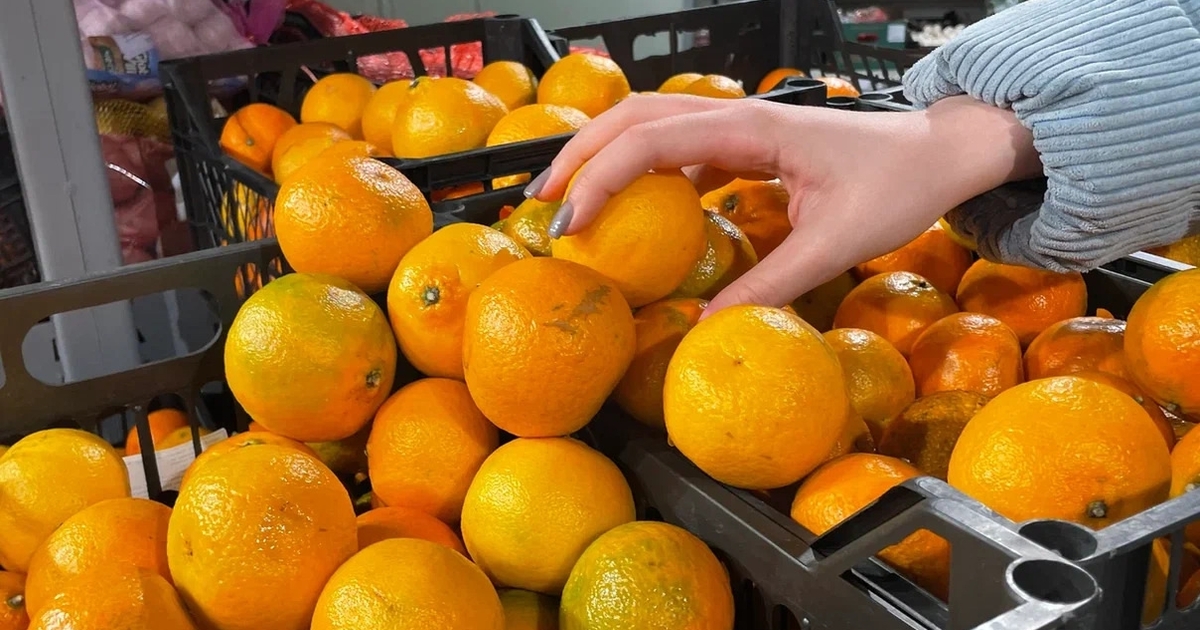 Медведь Умка из Самарского зоопарка впервые попробовал мандарины В Самарском зоопарке медведь по кличке Умка впе...