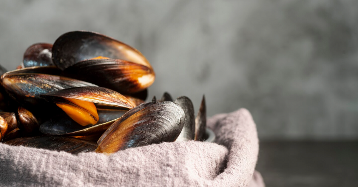 Российские ученые выяснили, что белок мидий уси...