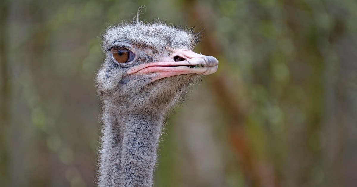 Фермеры пытались оспорить это решение, но безус...