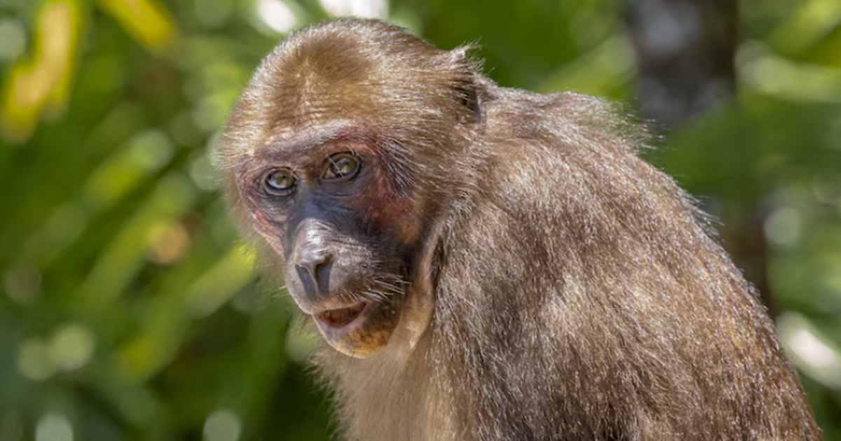Геннадий Онищенко считает, что в России продолж...