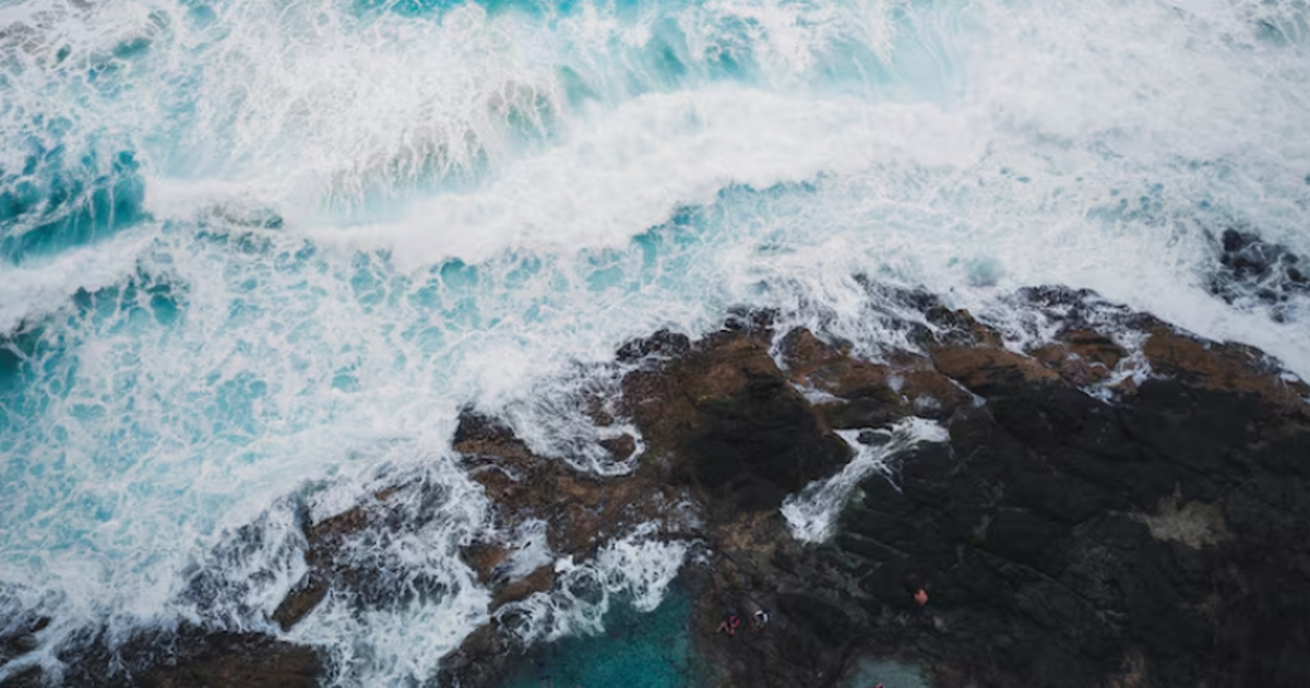 Ученые считают, что смещение Гольфстрима может ...