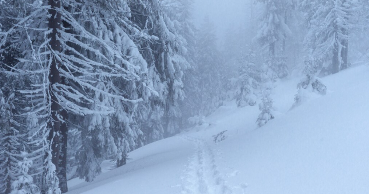 Погода в Самарской области: придет арктический мороз и снежный циклон Жителей Самарской области ждет переменчивая дек...
