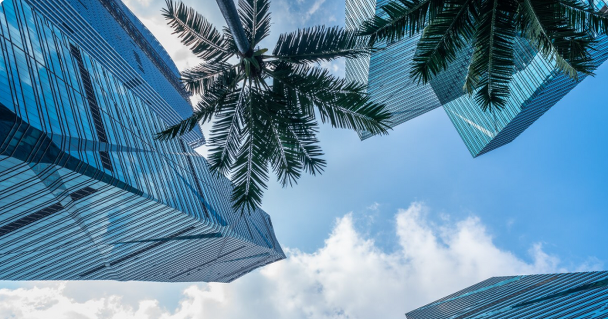 В Дубае упали цены на отели из-за снижения турп...