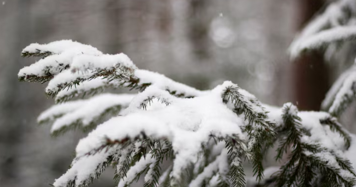 В Жигулёвском заповеднике на Стрельной горе выпал первый снег В Жигулёвском государственном природном заповед...