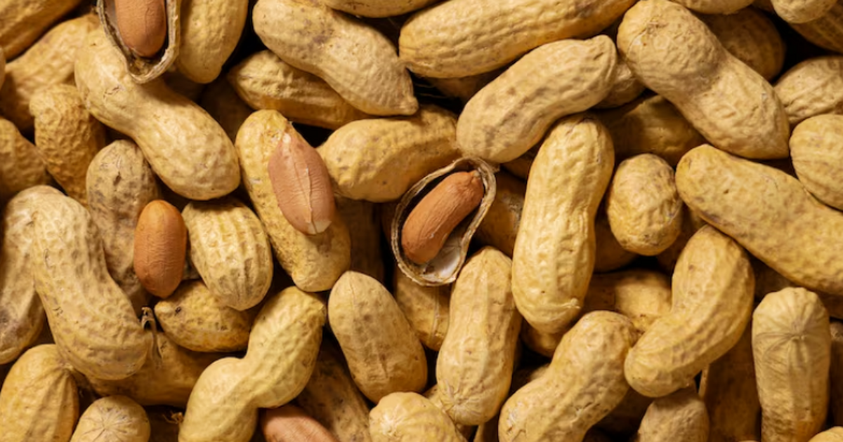 60 г жареного несоленого арахиса в день связали с улучшением памяти Ежедневное потребление 60 г жареного несоленого...