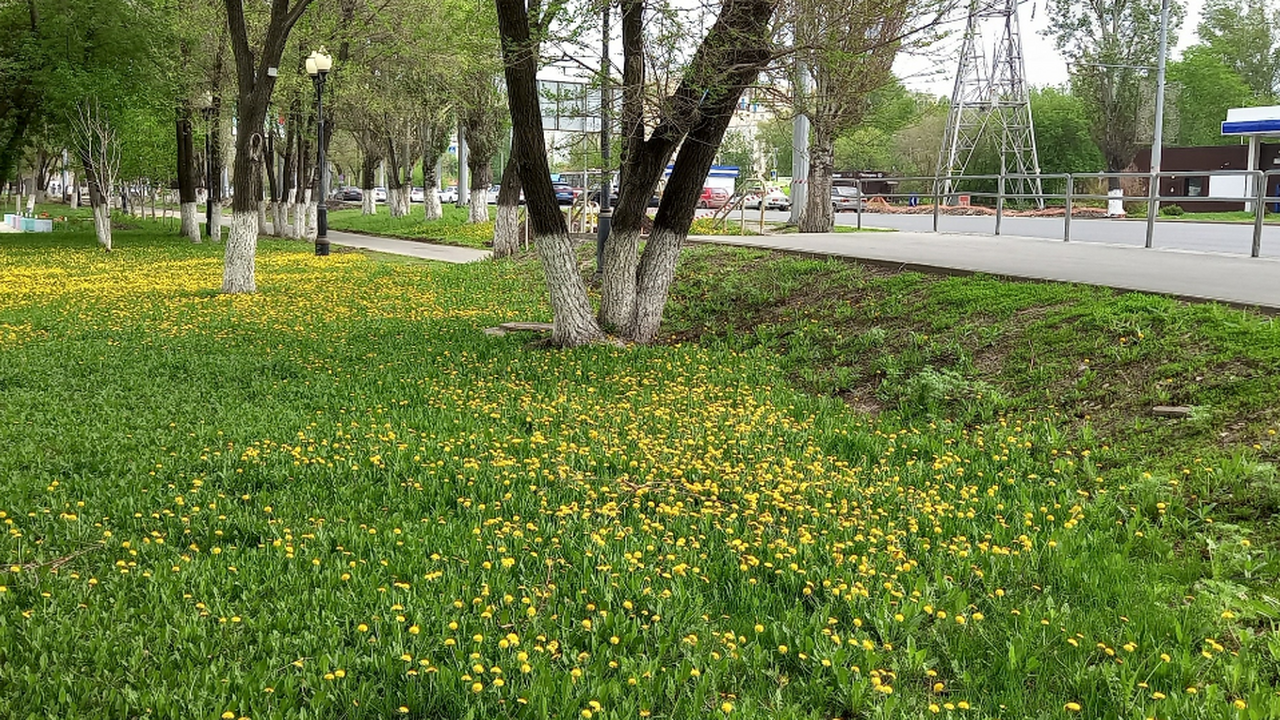 Однако уже после 20-х чисел марта ожидается рез...