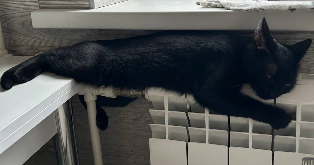 Батареи горячие, а дома холодно? Решение за 15 ...