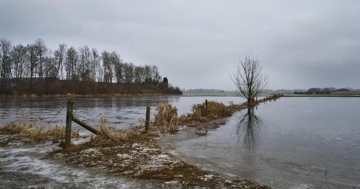 Жителям Самарской области посоветовали застраховать имущество из-за паводка В Самарской области пик паводка ожидается в мае...