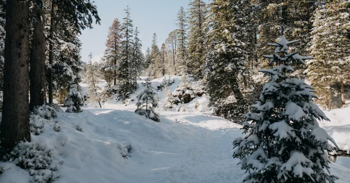 В Красноярском крае возобновили поиски пропавшей семьи Усольцевых Спасатели Красноярского поисково‑спасательного ...
