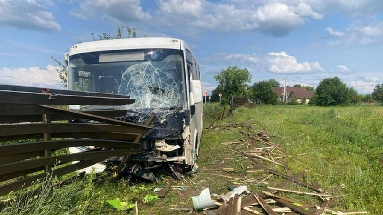 В Самарской области укус осы стал причиной ДТП с пассажирским автобусом После укуса насекомого у водителя автобуса прои...