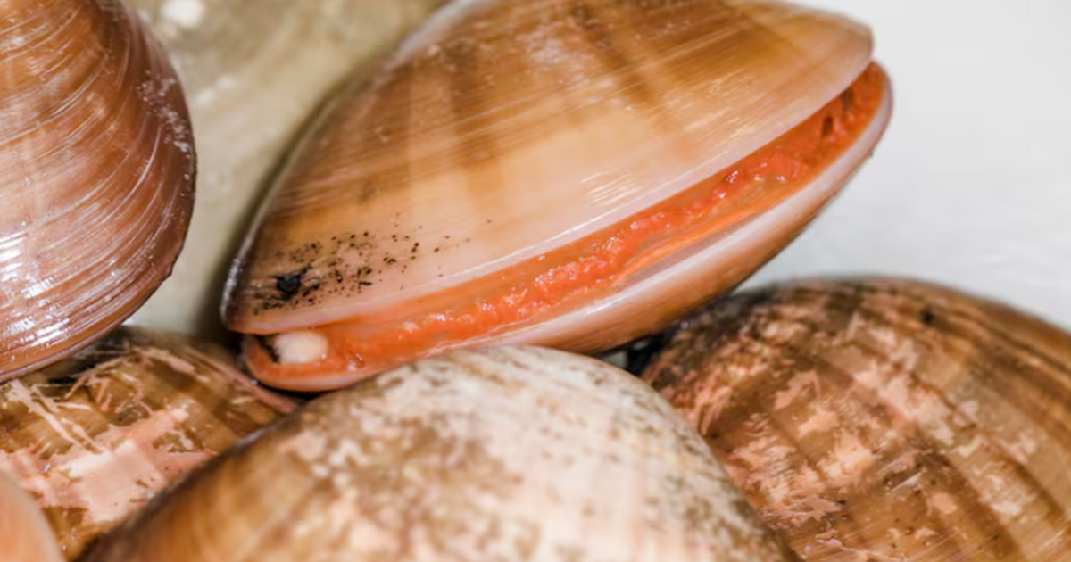 Японские исследователи описали ранее неизвестны...