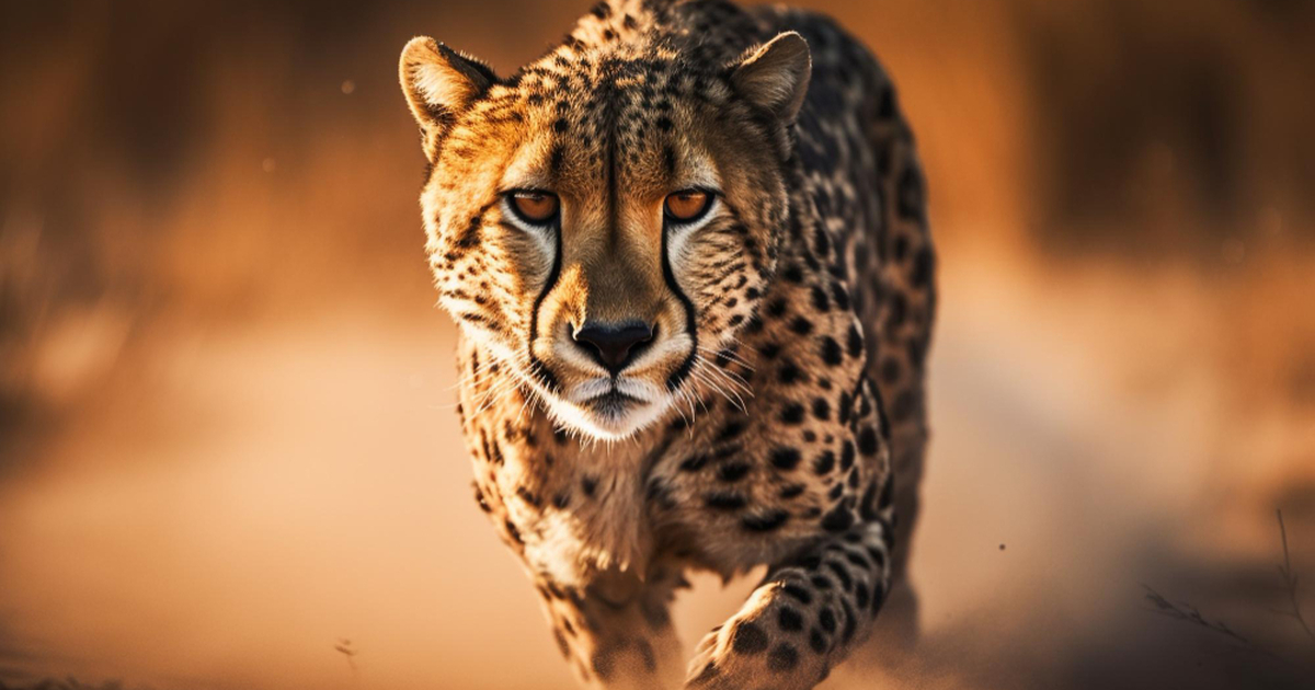 В пещерах на севере Саудовской Аравии обнаружил...