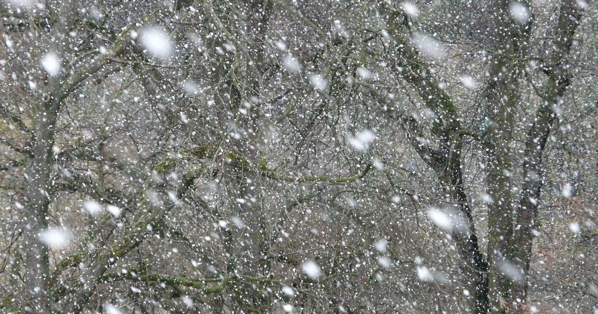 Ограничение установлено до 9:00 28 декабря и мо...