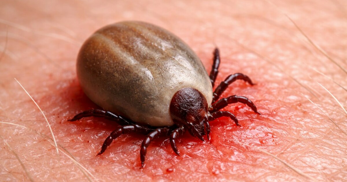 Инфекционист Владимир Неронов рассказал о росте...