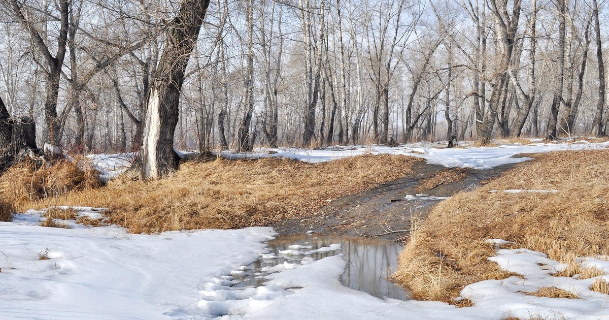 Предыдущий рекорд в регионе был отмечен в 2023 ...