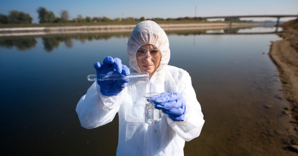Сибирский федеральный университет создал новый ...