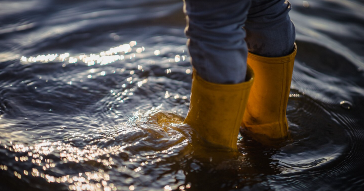 В Самаре проходят двухнедельные учения по дейст...