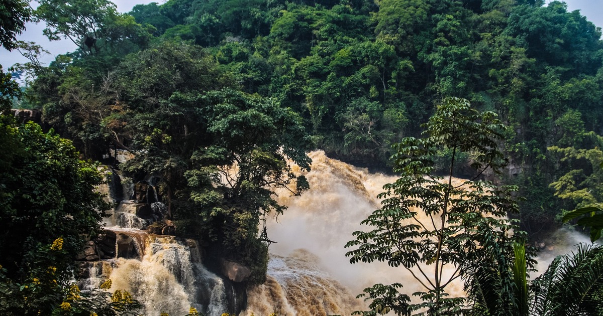 Ученые изучили круговорот углерода в зоне африк...