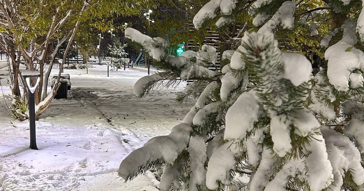 В Самаре с 6 января начали работать площадки по...