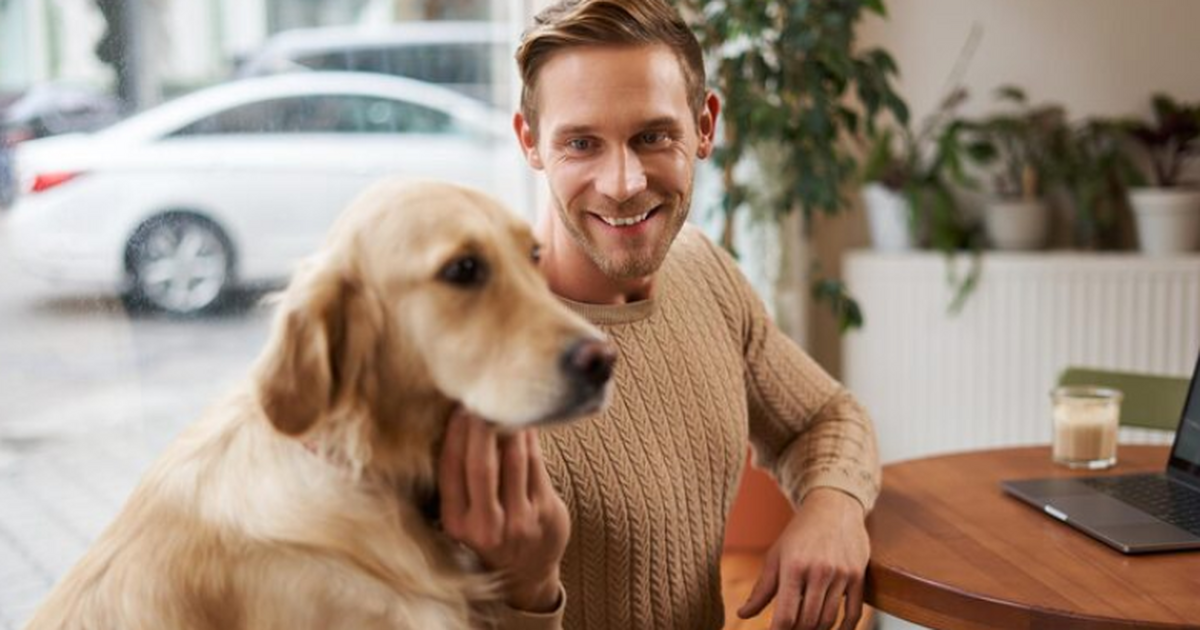 Ветеринарные специалисты в США сообщили об обна...