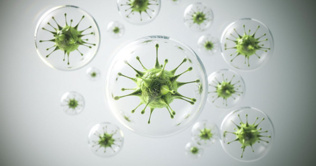 Учёные ТГУ обнаружили новый род бактерий в подз...